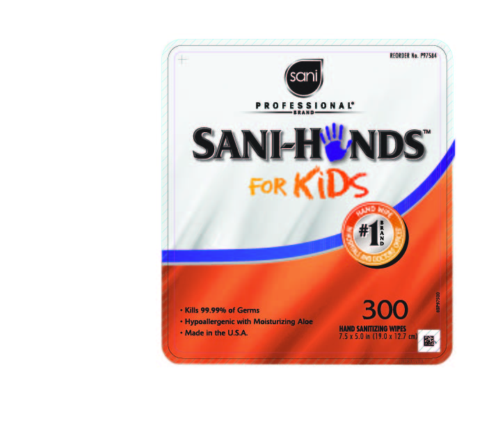 Sani Professional Sani Hands II Sanitizing Hand Wipes 300 Wipes
